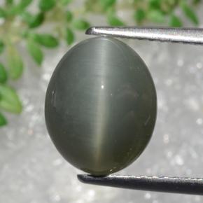 Cuarzo Ojo de Gato Gris verdoso natural de 3.22 ct, Corte Óvalo, Opaco