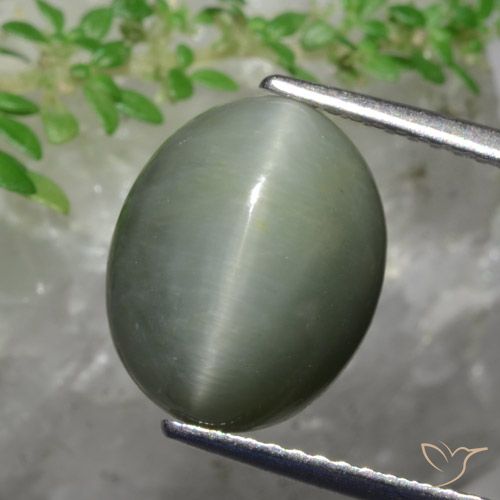5.82ct Natural Verde medio Cuarzo Ojo de Gato, Ovalada, Opaco