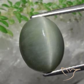 Cuarzo Ojo de Gato Verde medio natural de 5.82 ct, Ovalada, Opaco