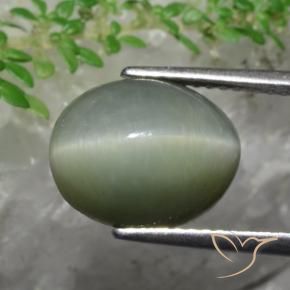 Cuarzo Ojo de Gato Verde medio natural de 5.82 ct, Ovalada, Opaco