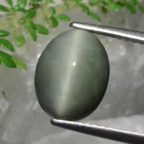 Cuarzo Ojo de Gato Verde natural de 3.36 ct, Corte Óvalo, Opaco