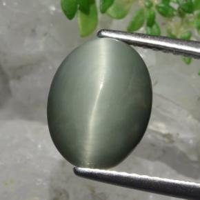 Cuarzo Ojo de Gato Verde natural de 3.82 ct, Corte Óvalo, Opaco