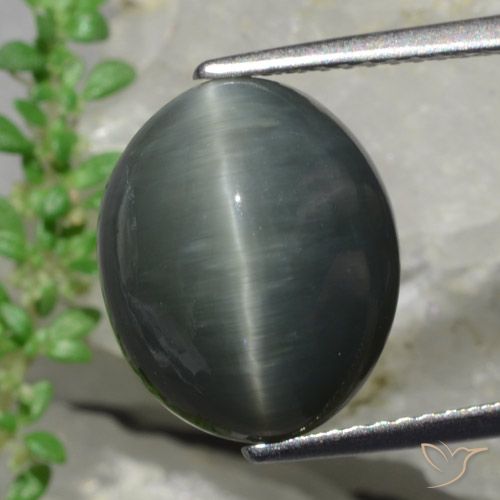 Cuarzo Ojo de Gato Gris oscuro natural de 8.57 ct, Corte Óvalo, Opaco