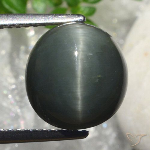 6.82ct Natural Gris oscuro Cuarzo Ojo de Gato, Ovalada, Opaco