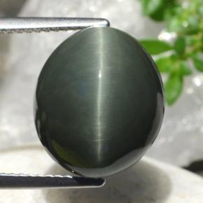 Cuarzo Ojo de Gato Gris oscuro natural de 9.95 ct, Corte Óvalo, Opaco