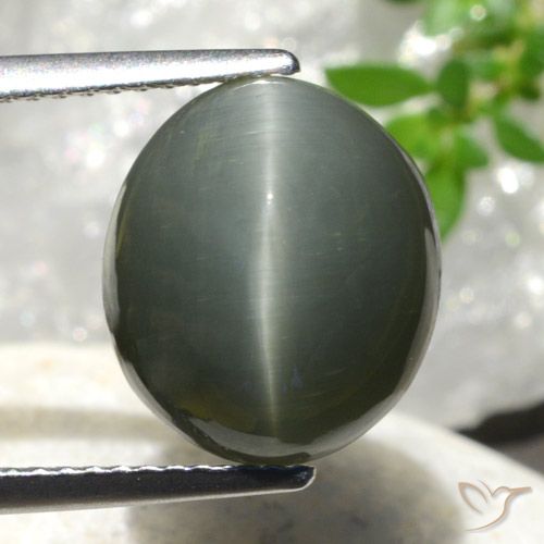 7.44ct Natural Verde medio Cuarzo Ojo de Gato, Ovalada, Opaco