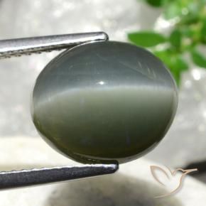 Cuarzo Ojo de Gato Verde medio natural de 7.44 ct, Ovalada, Opaco