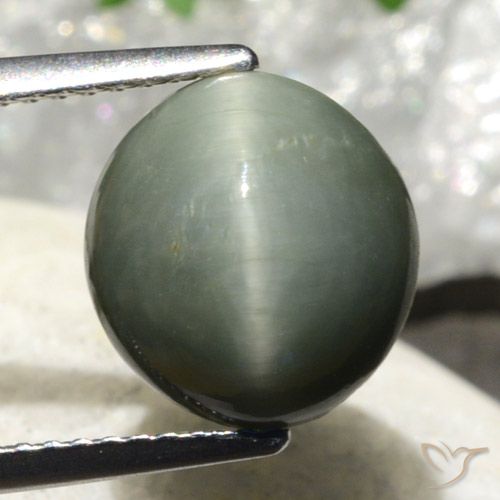 4.86ct Natural Gris verdoso Cuarzo Ojo de Gato, Ovalada, Opaco