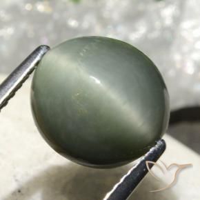 Cuarzo Ojo de Gato Gris verdoso natural de 4.86 ct, Ovalada, Opaco