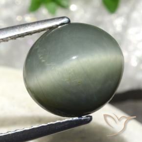 Cuarzo Ojo de Gato Gris verdoso natural de 4.86 ct, Ovalada, Opaco