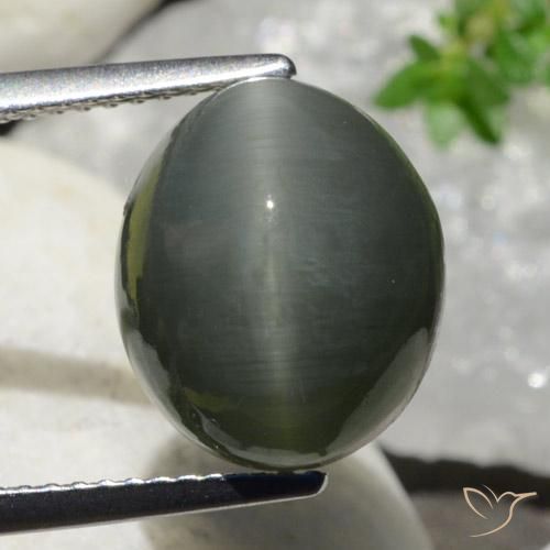 7.47ct Natural Gris oscuro Cuarzo Ojo de Gato, Ovalada, Opaco