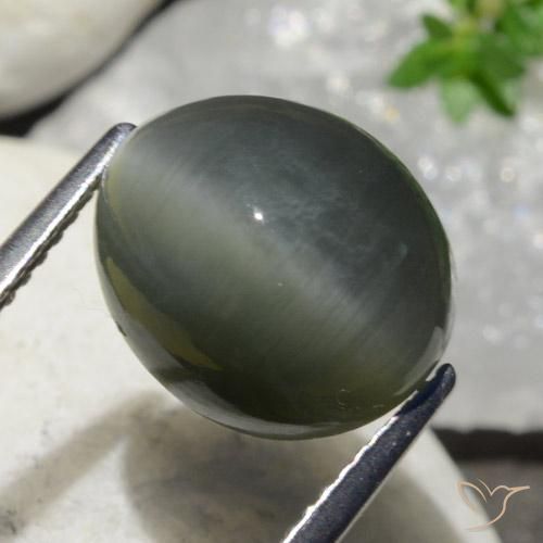 Cuarzo Ojo de Gato Gris oscuro natural de 7.47 ct, Ovalada, Opaco