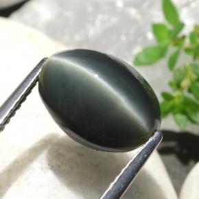 Quartz cat's eye verde natural de 5,06 ct, corte óvalo, opaco