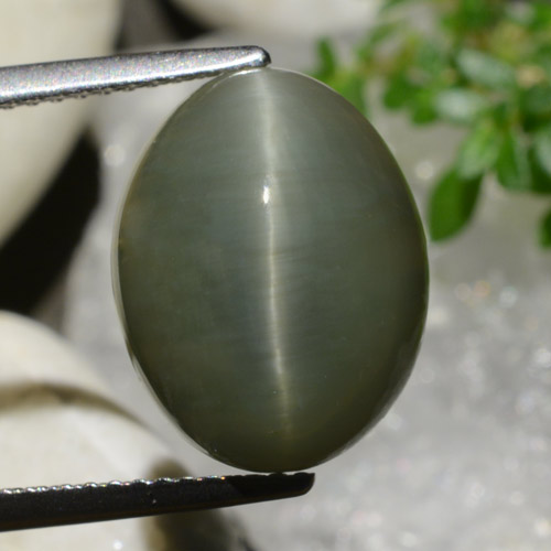 Cuarzo Ojo de Gato Verde cálido natural de 8.34 ct, Corte Óvalo, Opaco