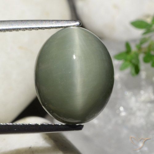 7.32ct Natural Verde medio Cuarzo Ojo de Gato, Ovalada, Opaco