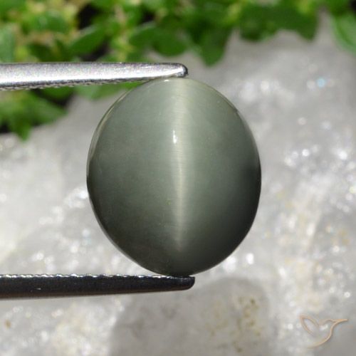 6.02ct Natural Gris verdoso Cuarzo Ojo de Gato, Ovalada, Opaco