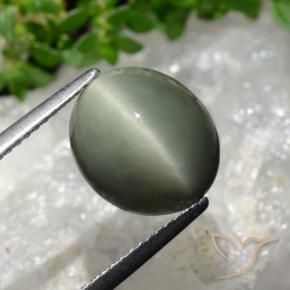 Cuarzo Ojo de Gato Gris verdoso natural de 6.02 ct, Ovalada, Opaco
