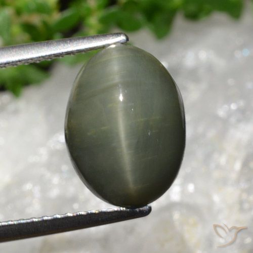 5.98ct Natural Verde medio Cuarzo Ojo de Gato, Ovalada, Opaco