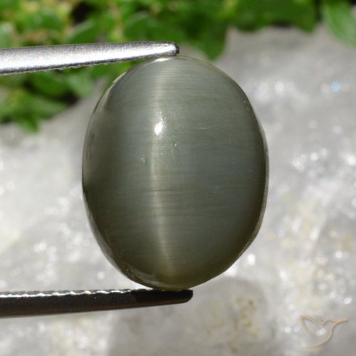 8.13ct Natural Verde gris Cuarzo Ojo de Gato, Ovalada, Opaco