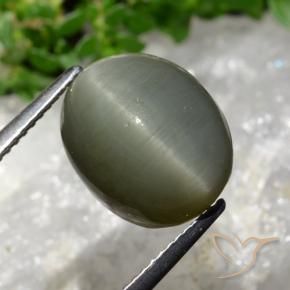 Cuarzo Ojo de Gato Verde gris natural de 8.13 ct, Ovalada, Opaco