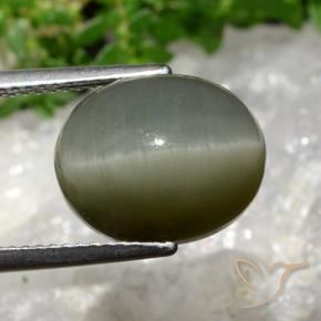 Cuarzo Ojo de Gato Verde gris natural de 8.13 ct, Ovalada, Opaco