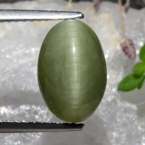 Cuarzo Ojo de Gato Verde medio natural de 3.88 ct, Corte Óvalo, Opaco