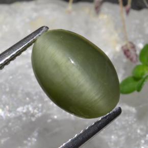 Cuarzo Ojo de Gato Verde medio natural de 3.88 ct, Corte Óvalo, Opaco