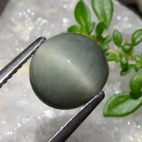Cuarzo Ojo de Gato Verde medio natural de 2.83 ct, Corte Óvalo, Opaco