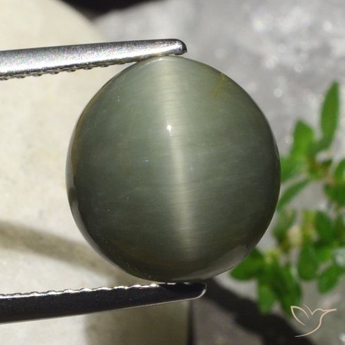 6.23ct Natural Verde cálido Cuarzo Ojo de Gato, Ovalada, Opaco