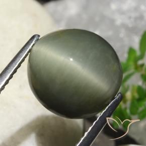 Cuarzo Ojo de Gato Verde cálido natural de 6.23 ct, Ovalada, Opaco
