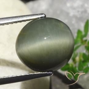 Cuarzo Ojo de Gato Verde cálido natural de 6.23 ct, Ovalada, Opaco