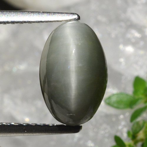 Cuarzo Ojo de Gato Verde medio natural de 2.99 ct, Corte Óvalo, Opaco