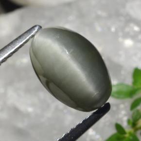 Cuarzo Ojo de Gato Verde medio natural de 2.99 ct, Corte Óvalo, Opaco