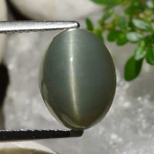 Cuarzo Ojo de Gato Gris verdoso natural de 4.96 ct, Corte Óvalo, Opaco