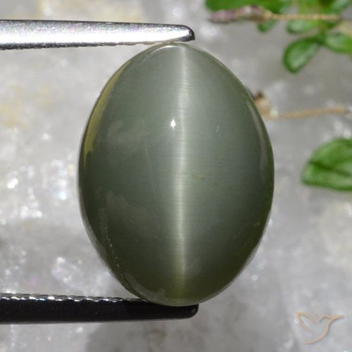 6.37ct Natural Gris verdoso Cuarzo Ojo de Gato, Ovalada, Opaco
