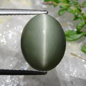 Cuarzo Ojo de Gato Verde grisáceo natural de 6.74 ct, Corte Óvalo, Opaco