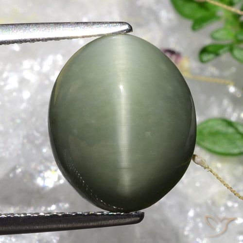 5.84ct Natural Verde musgo grisáceo Cuarzo Ojo de Gato, Ovalada, Opaco