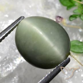 Cuarzo Ojo de Gato Verde musgo grisáceo natural de 5.84 ct, Ovalada, Opaco