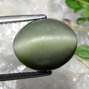 Cuarzo Ojo de Gato Verde musgo grisáceo natural de 5.84 ct, Ovalada, Opaco