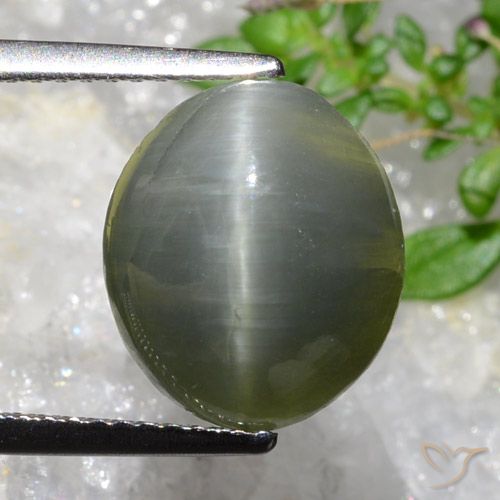 5.35ct Natural Gris verdoso Cuarzo Ojo de Gato, Ovalada, Opaco
