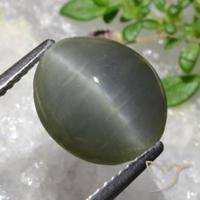 Cuarzo Ojo de Gato Gris verdoso natural de 5.35 ct, Ovalada, Opaco