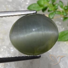 Cuarzo Ojo de Gato Gris verdoso natural de 5.35 ct, Ovalada, Opaco