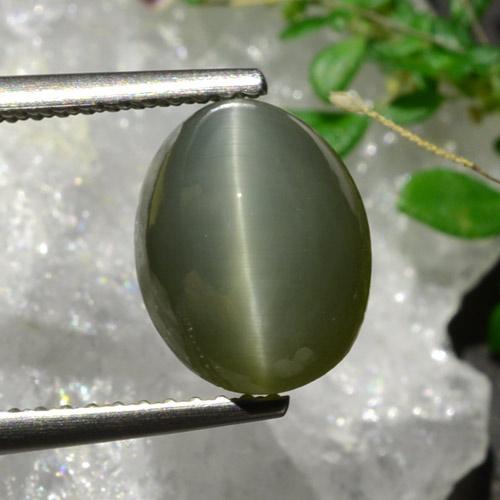 Quartz cat's eye verde natural de 3,92 ct, corte óvalo, opaco