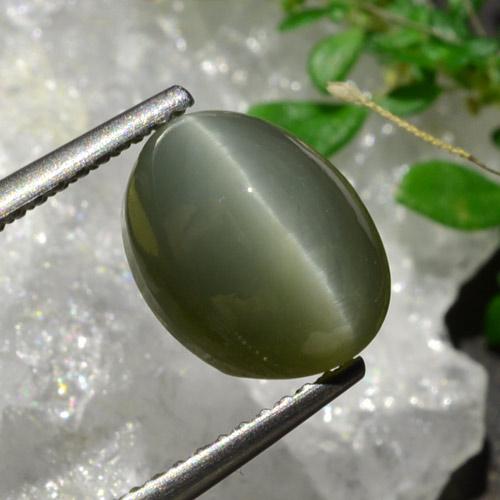 Quartz cat's eye verde natural de 3,92 ct, corte óvalo, opaco