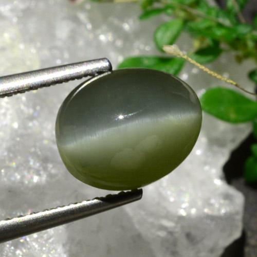 Quartz cat's eye verde natural de 3,92 ct, corte óvalo, opaco