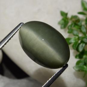 Cuarzo Ojo de Gato Verde terroso natural de 6.44 ct, Corte Óvalo, Opaco
