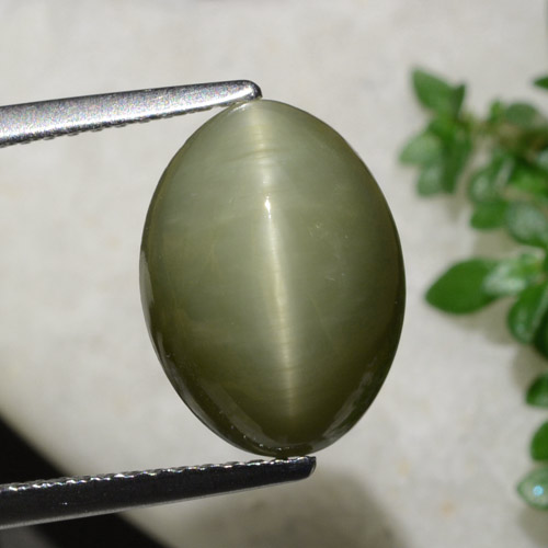 Cuarzo ojo de gato verde cálido natural de 6,21 ct, corte óvalo, opaco