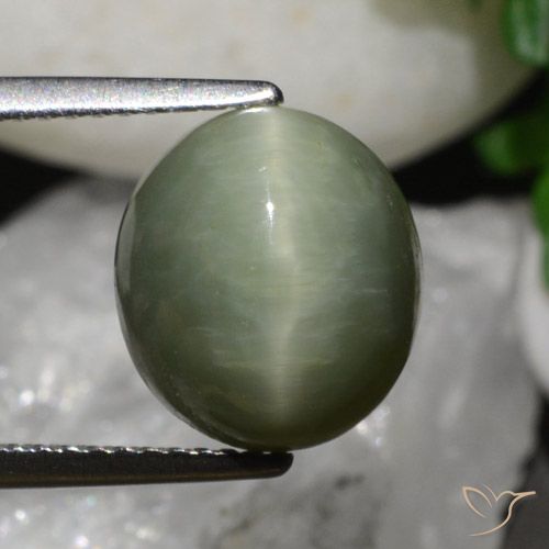 6.79ct Natural Verde terroso Cuarzo Ojo de Gato, Ovalada, Opaco