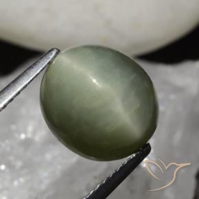 Cuarzo Ojo de Gato Verde terroso natural de 6.79 ct, Ovalada, Opaco