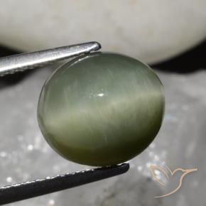 Cuarzo Ojo de Gato Verde terroso natural de 6.79 ct, Ovalada, Opaco